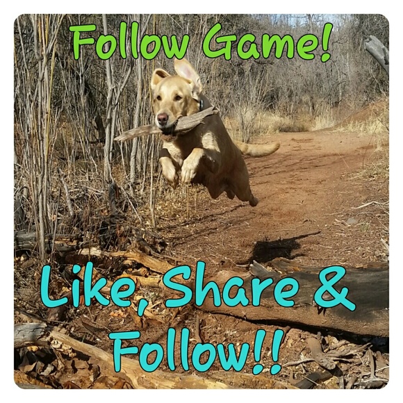 Please Like, Share & Follow!!! - Picture 1 of 1